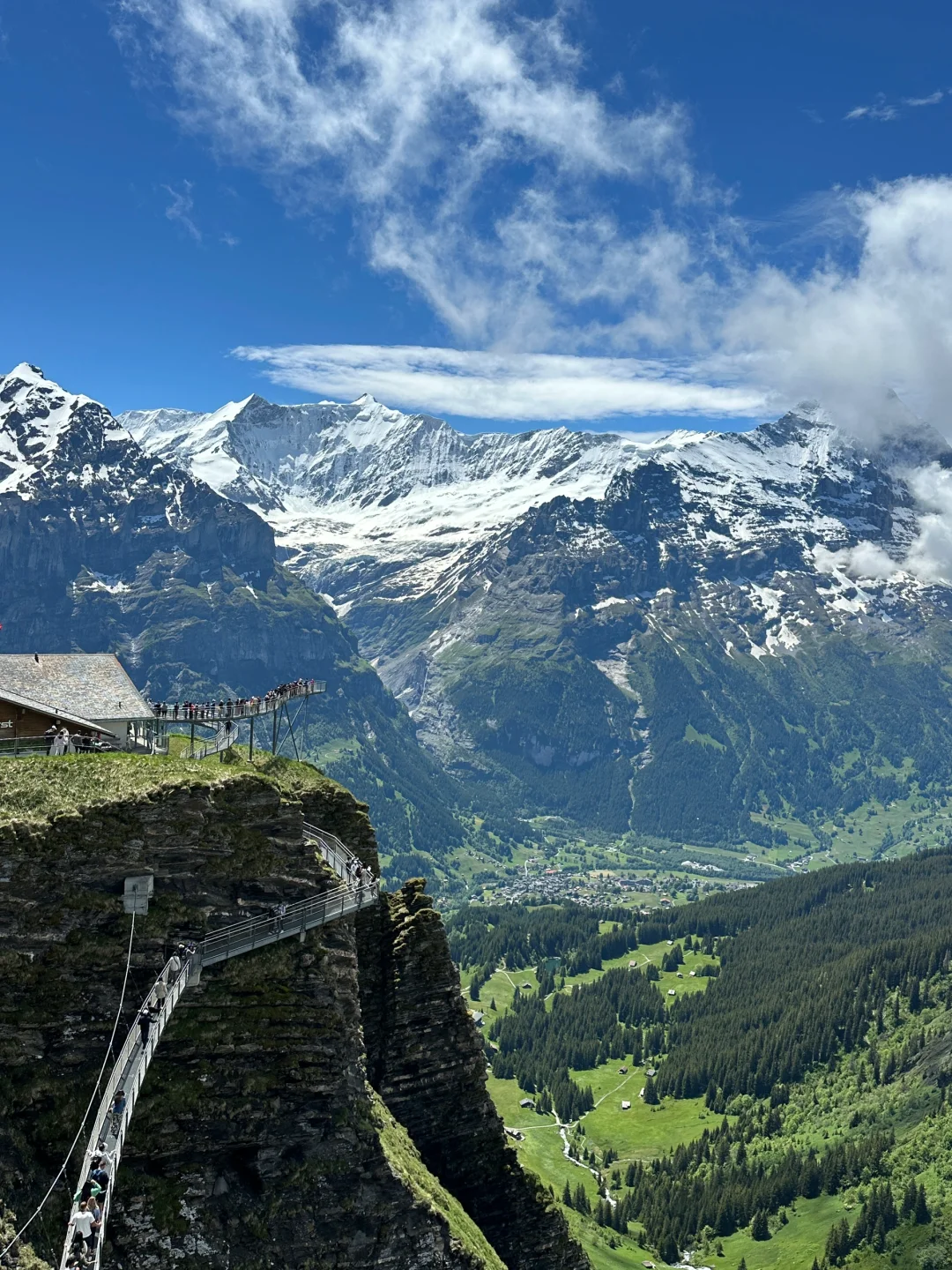 瑞士🇨🇭回国后，人抑郁了