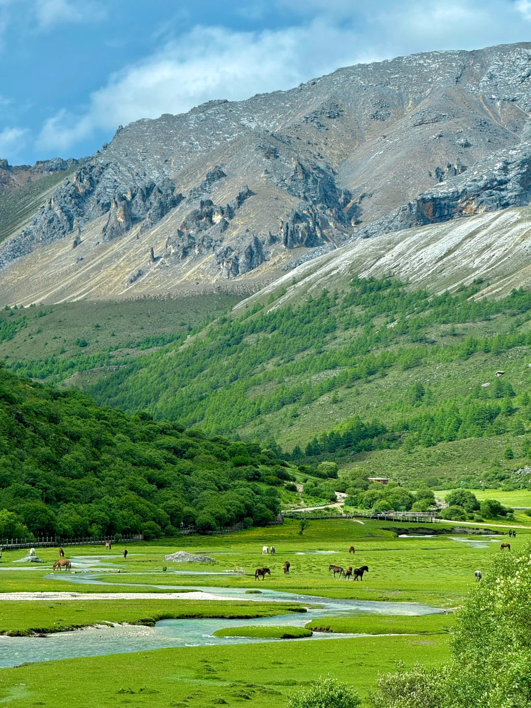 不是瑞士，7-8月的川西🏔美到失语😭