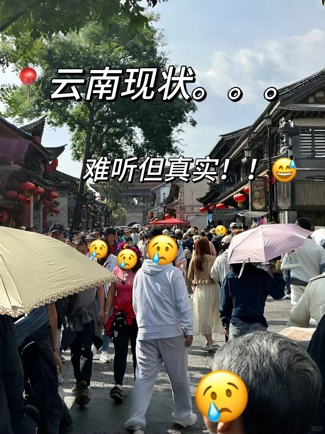 6月云南已回，真心要提醒六七月份要来的