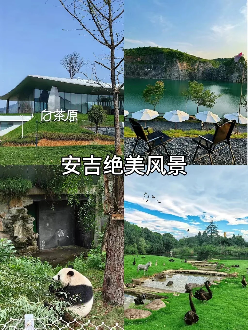 😱闺蜜做的安吉旅行攻略惊呆我了