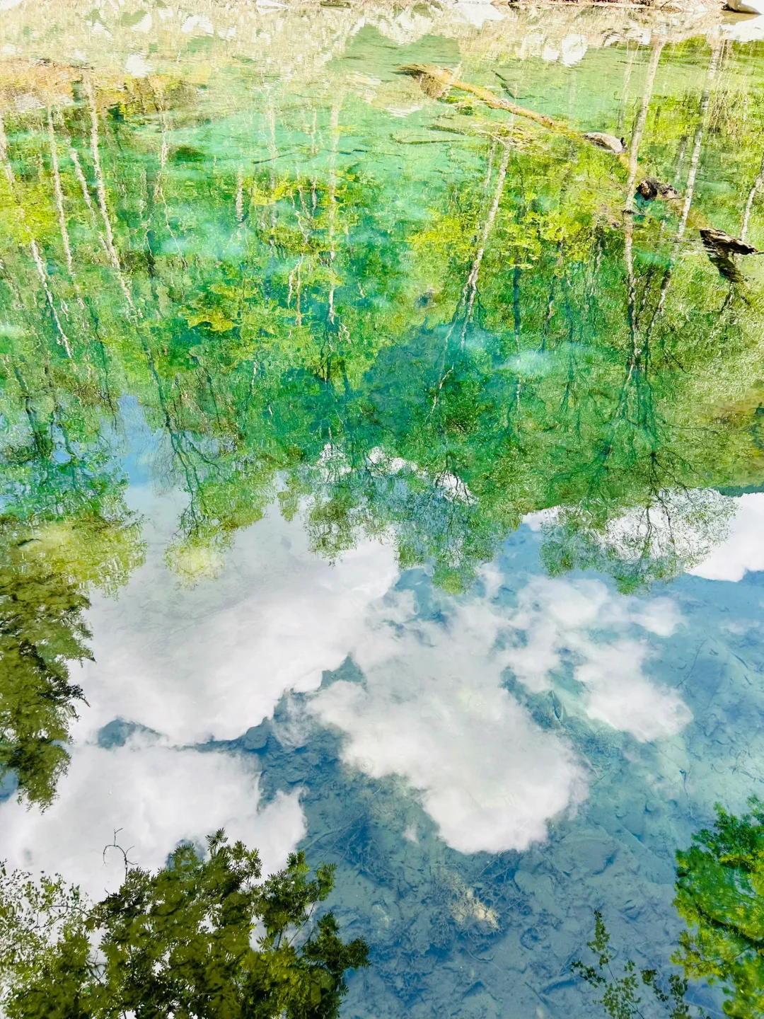 🌿谁懂啊！！松坪沟19℃的夏天☀️比动漫还治愈