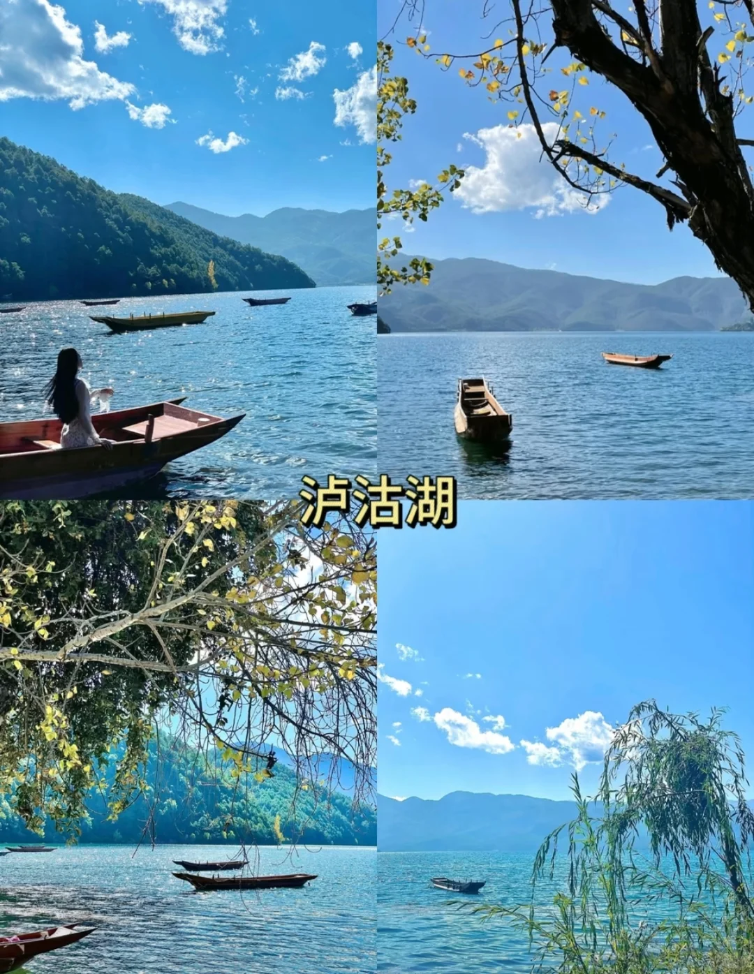 🌴云南旅游攻略✨让你玩得尽兴又省钱