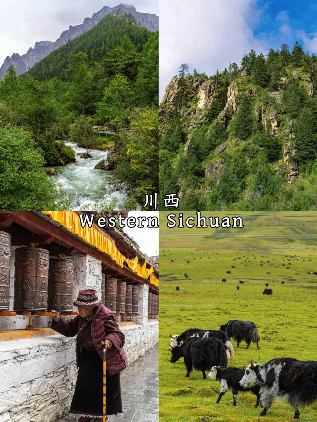 中国避暑胜地｜China Summer Destinations
