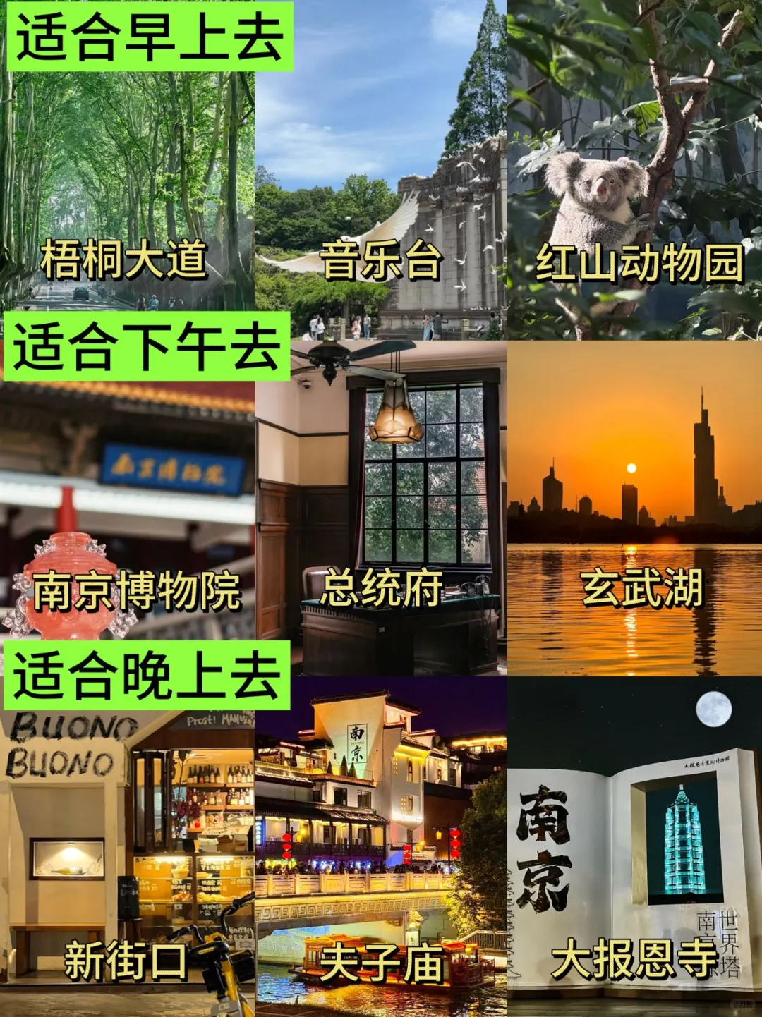 南京旅游真不是你想的那样💔能救一个是一个