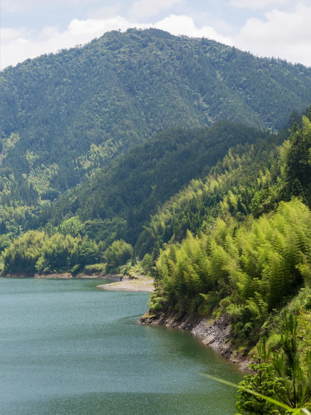 去过最冷门小城，藏在森林里的23℃避暑秘境