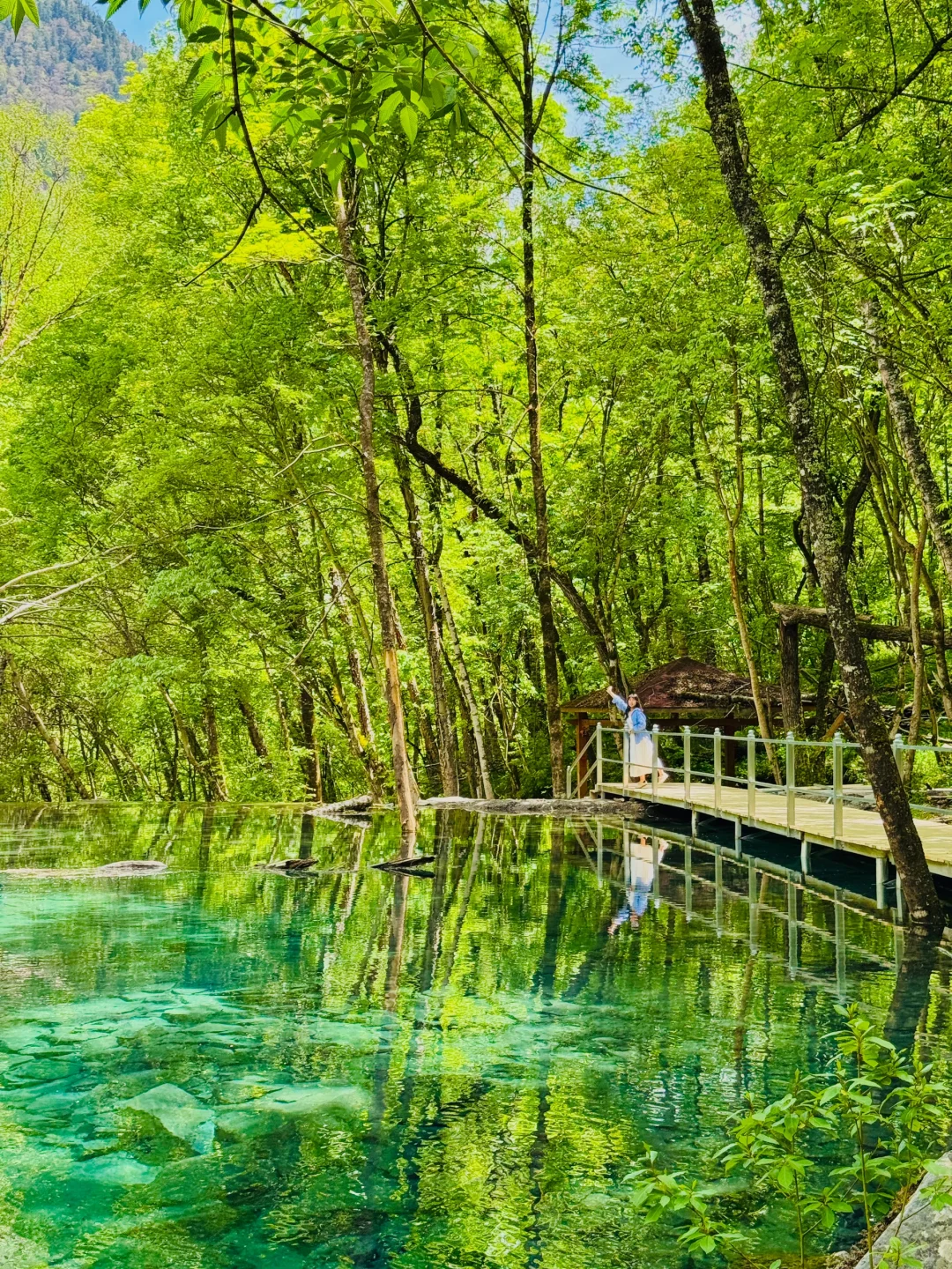 🌿谁懂啊！！松坪沟19℃的夏天☀️比动漫还治愈