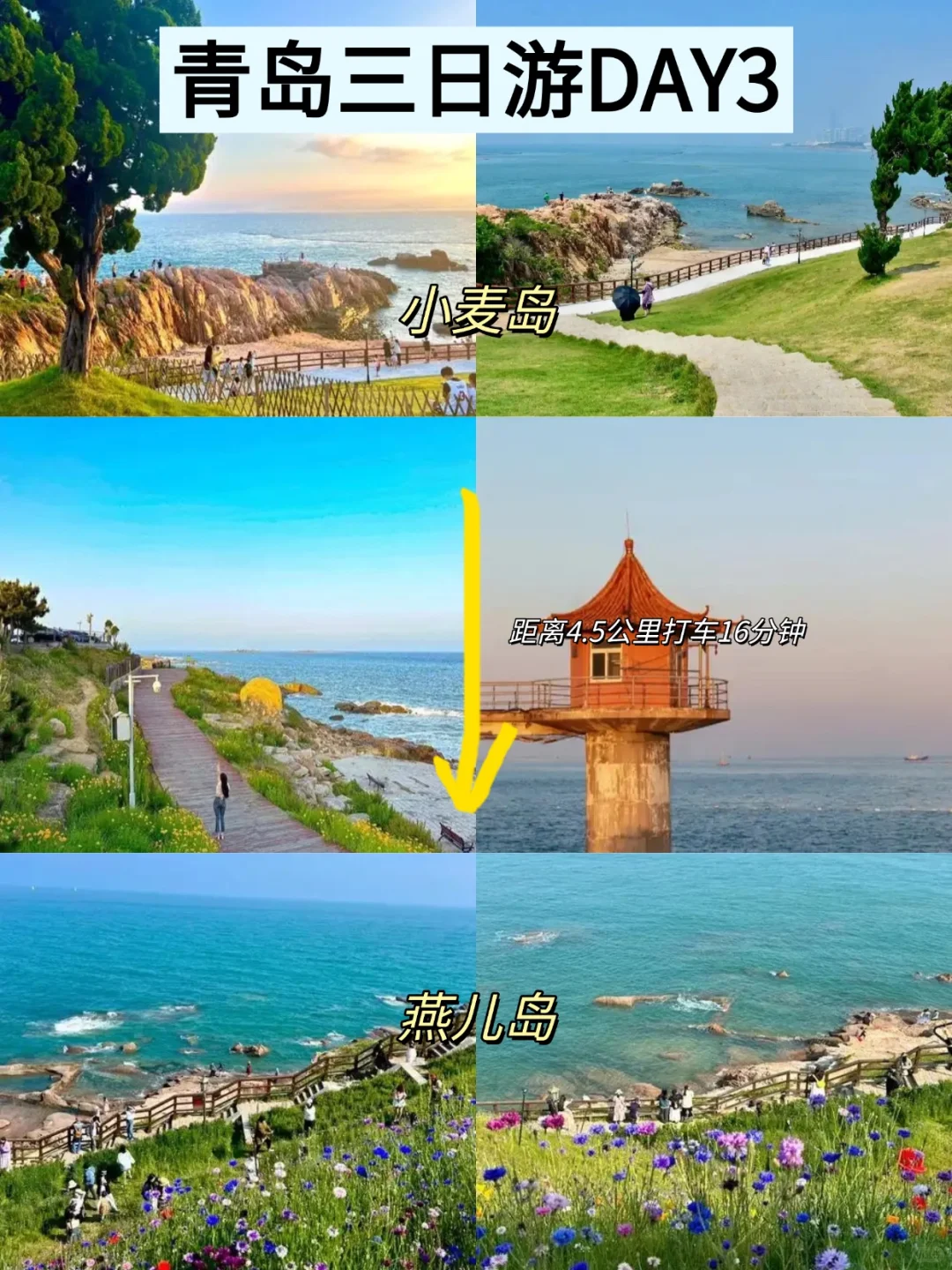 📍青岛已回。。。只想说些难听的大实话！