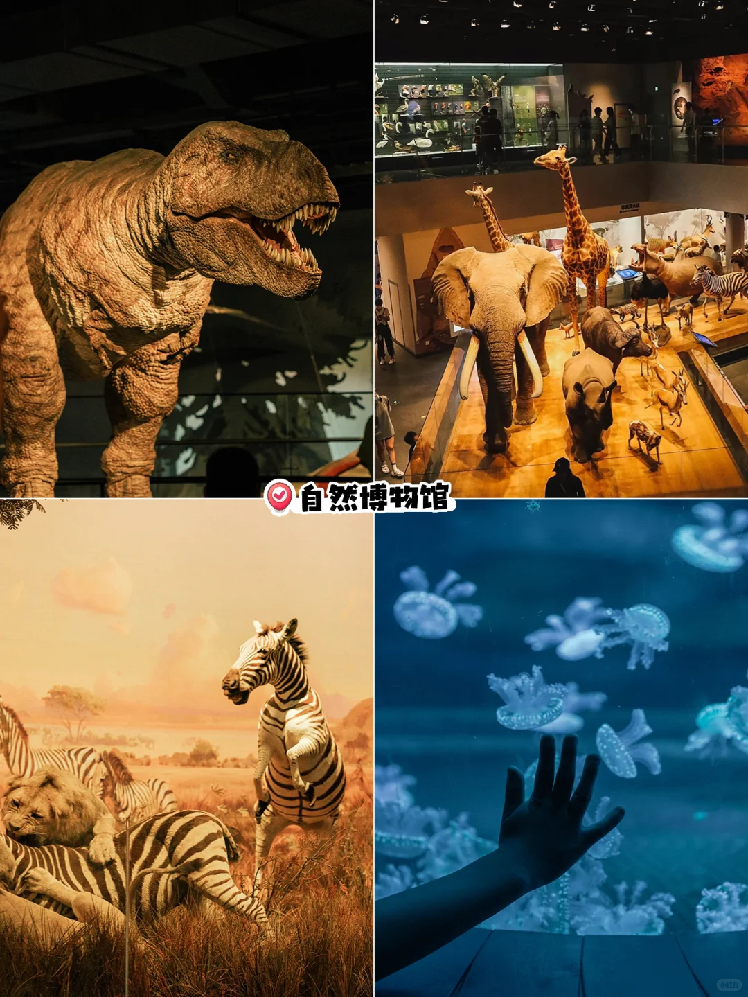 人生建议‼️暑假一定要带娃来安吉💦
