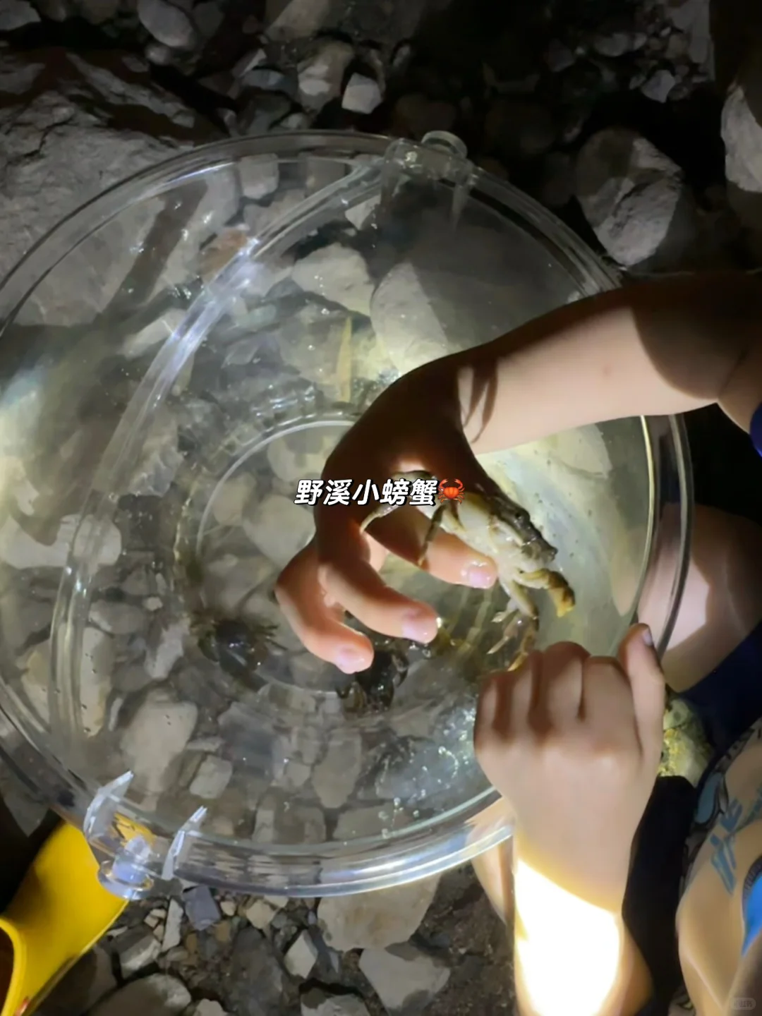 人生建议‼️暑假一定要带娃来安吉💦