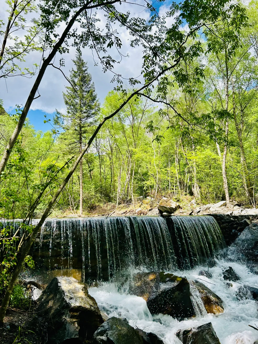 🌿谁懂啊！！松坪沟19℃的夏天☀️比动漫还治愈