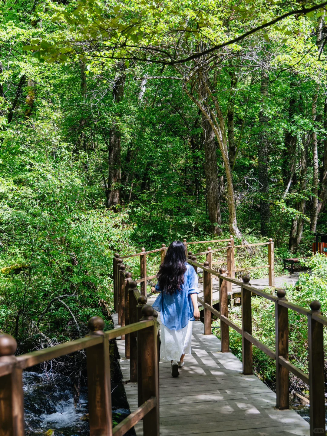 🌿谁懂啊！！松坪沟19℃的夏天☀️比动漫还治愈