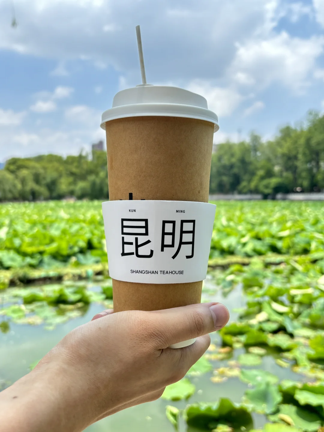 六天云南低精力旅游攻略