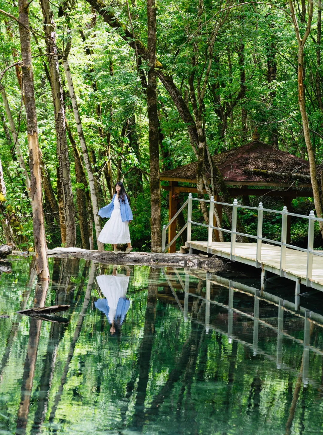 🌿谁懂啊！！松坪沟19℃的夏天☀️比动漫还治愈