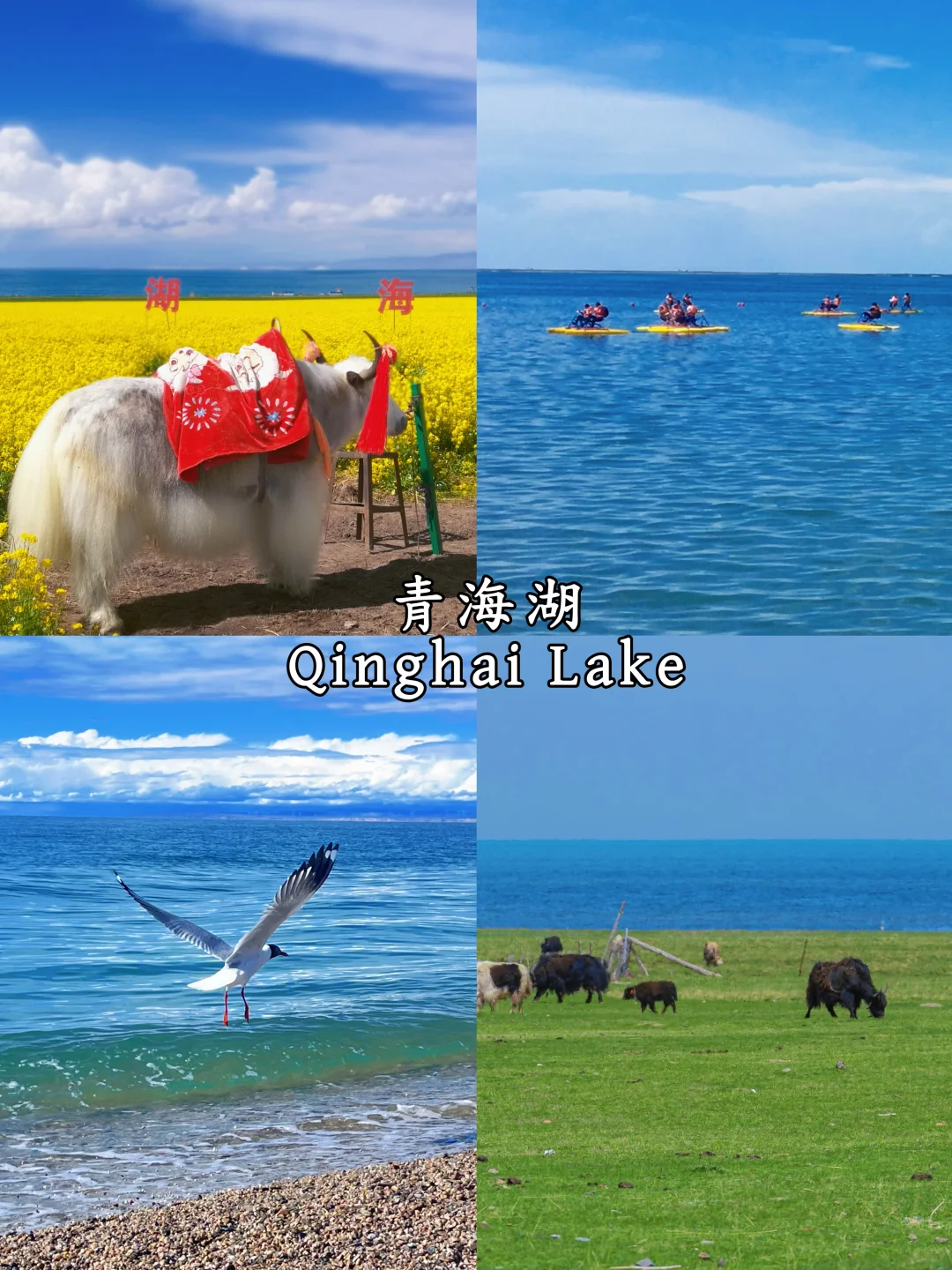 中国避暑胜地｜China Summer Destinations
