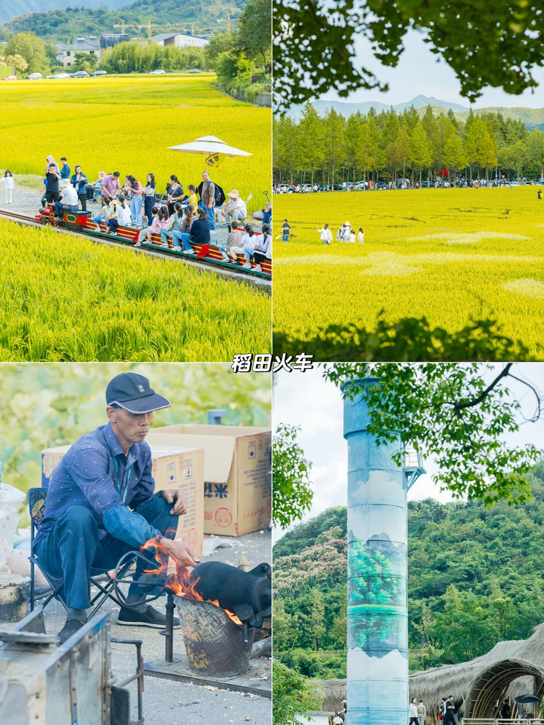 人生建议‼️暑假一定要带娃来安吉💦