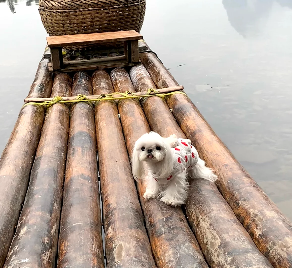 广西之行结束啦！桂林-阳朔-柳州-北海