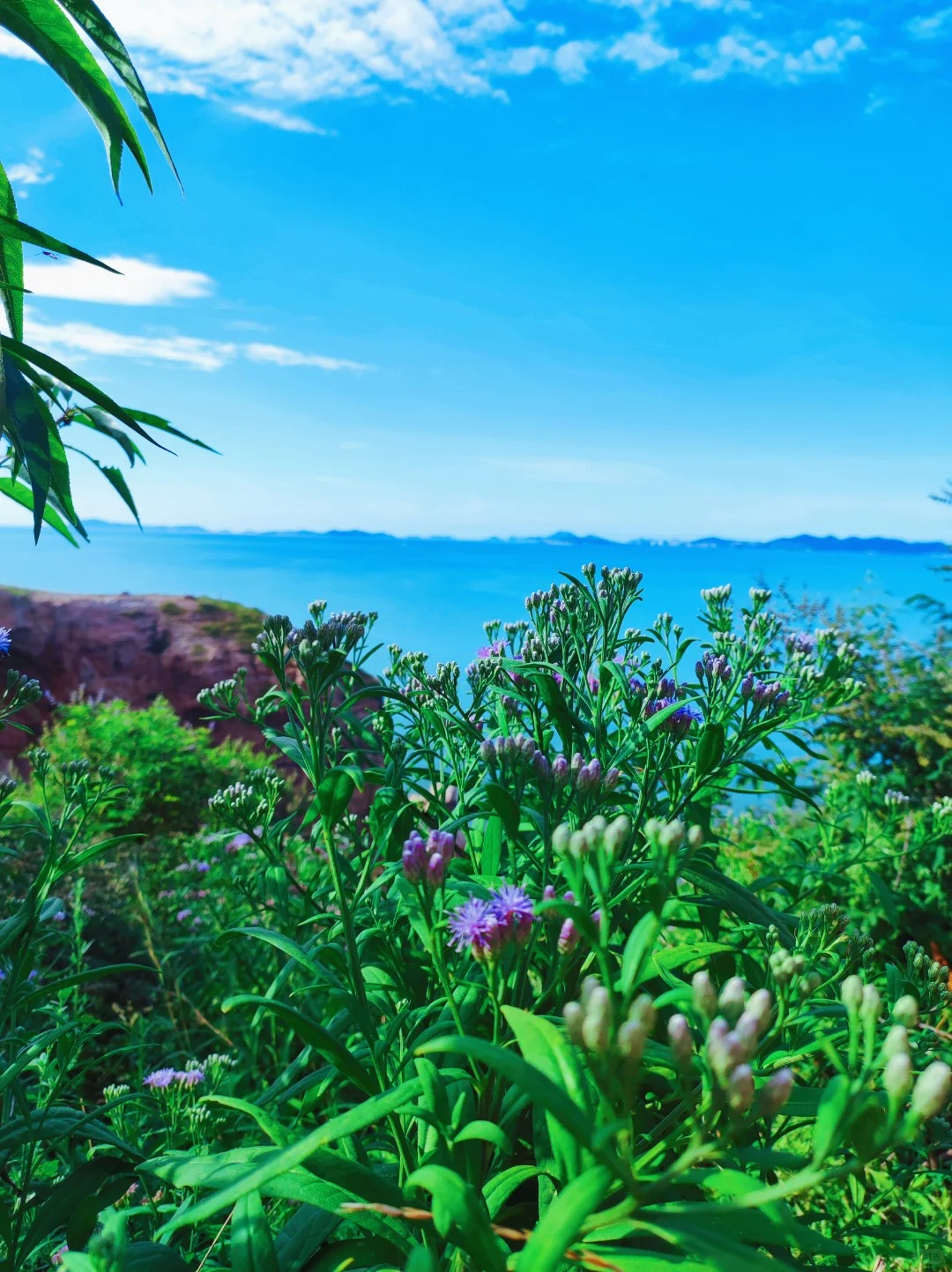 烟台游玩攻略