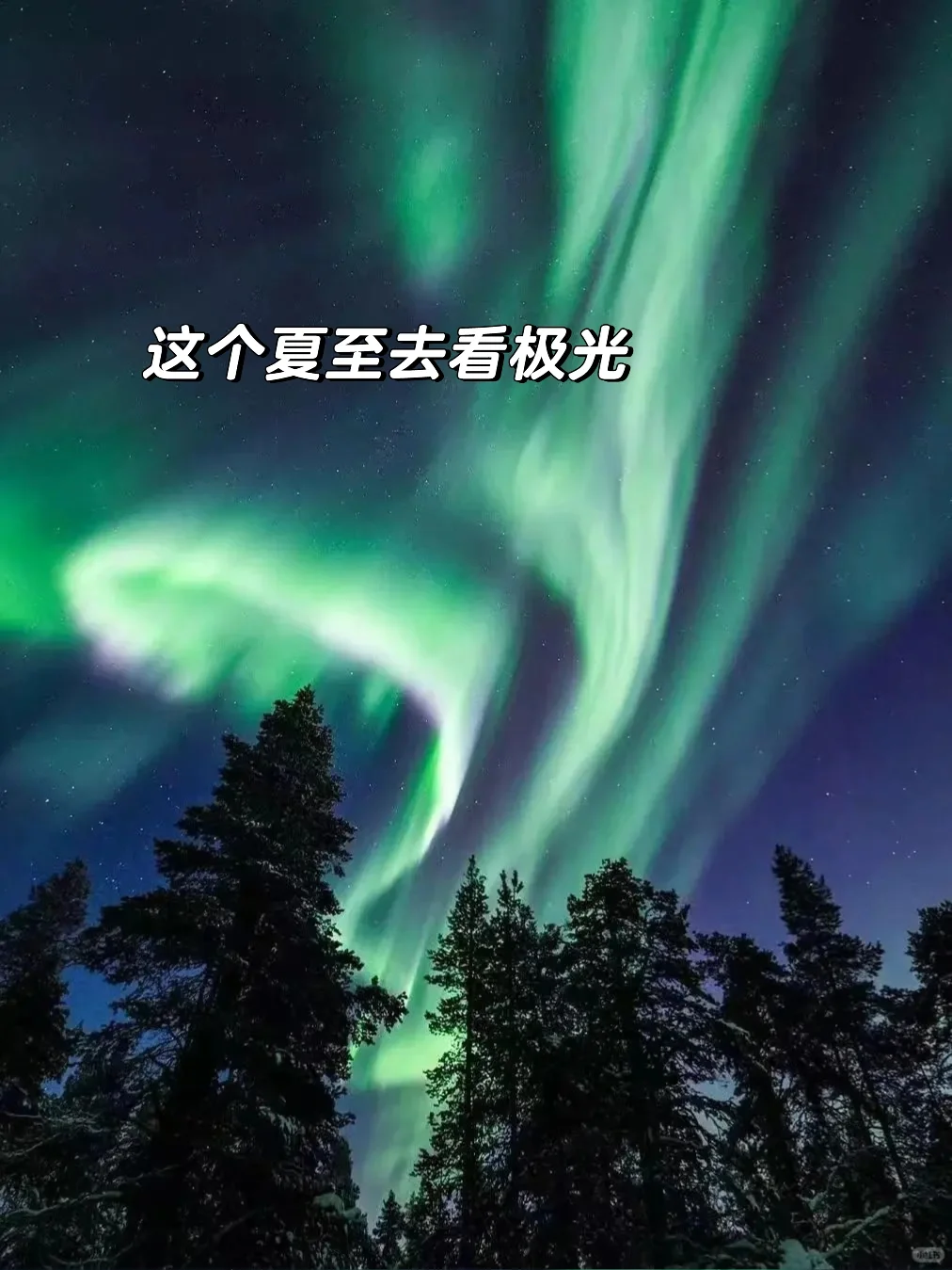 哈尔滨·漠河📍在国内可以看到北极光的地方