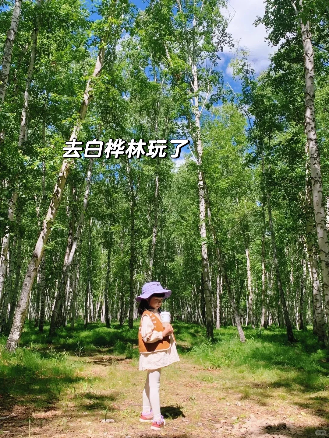 哈尔滨·漠河📍在国内可以看到北极光的地方