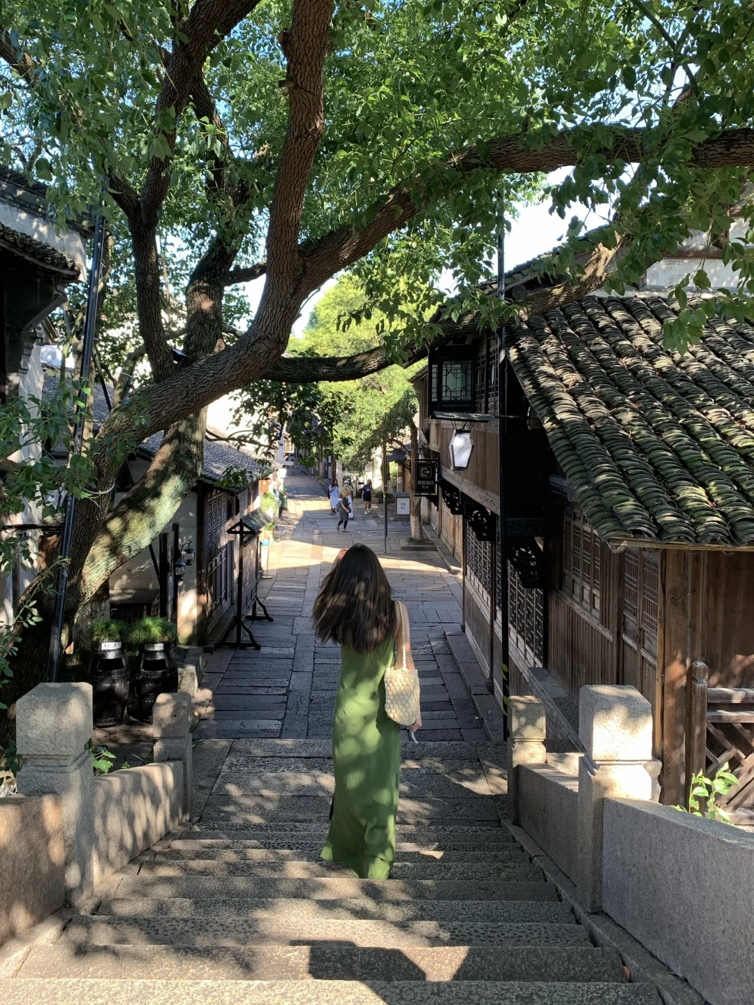 夏天 乌镇🍃