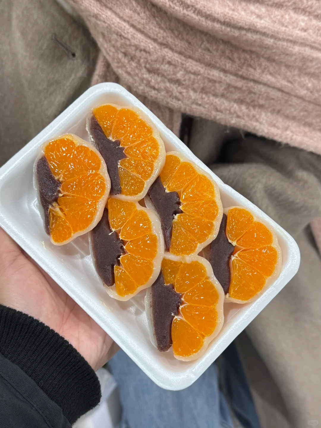 春节爱达魔都号邮轮旅行Plog✈️
