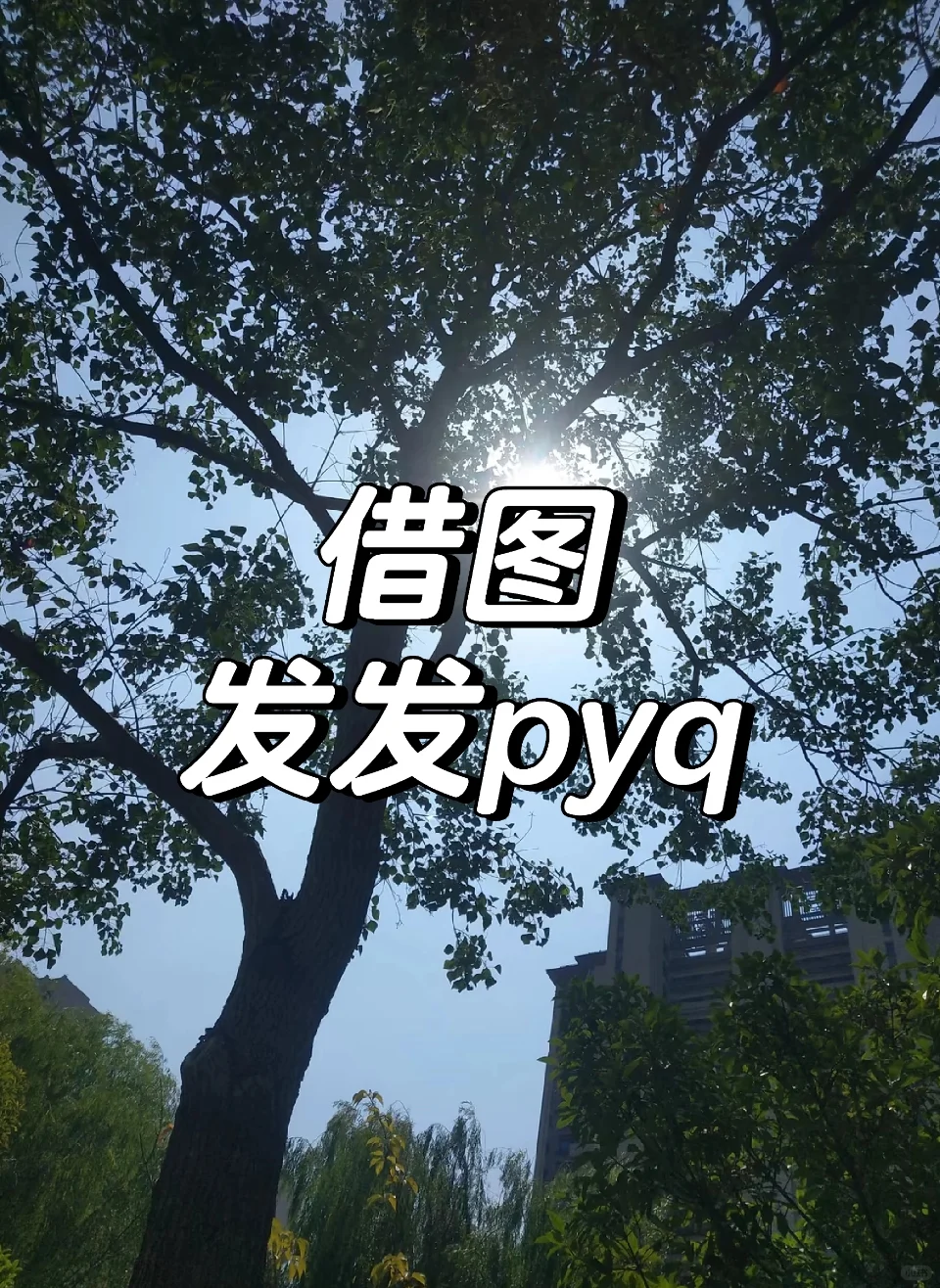 借点图发发朋友圈🥺🥺