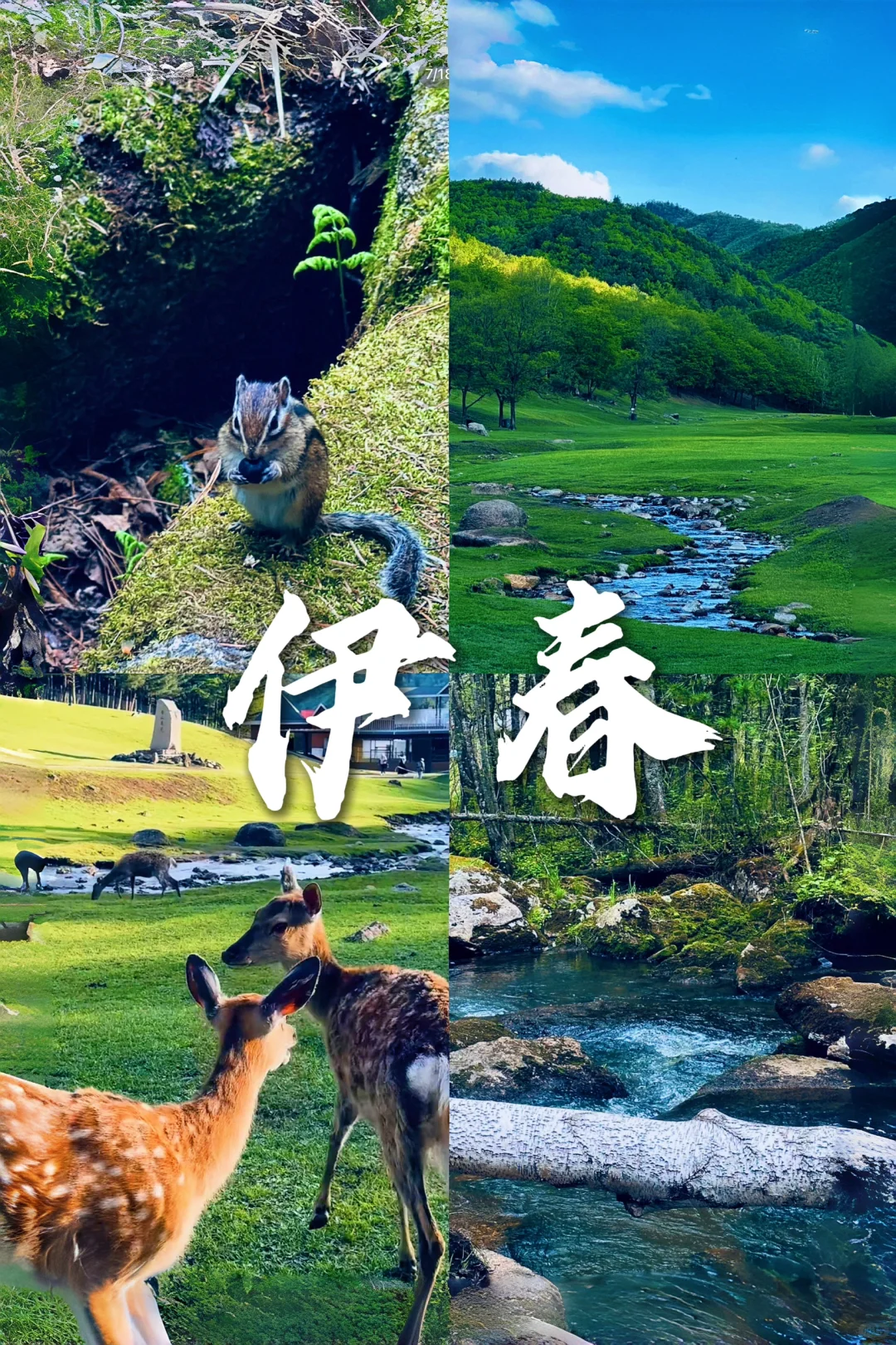 夏天总要来趟东北避暑吧！9个值得去的城市