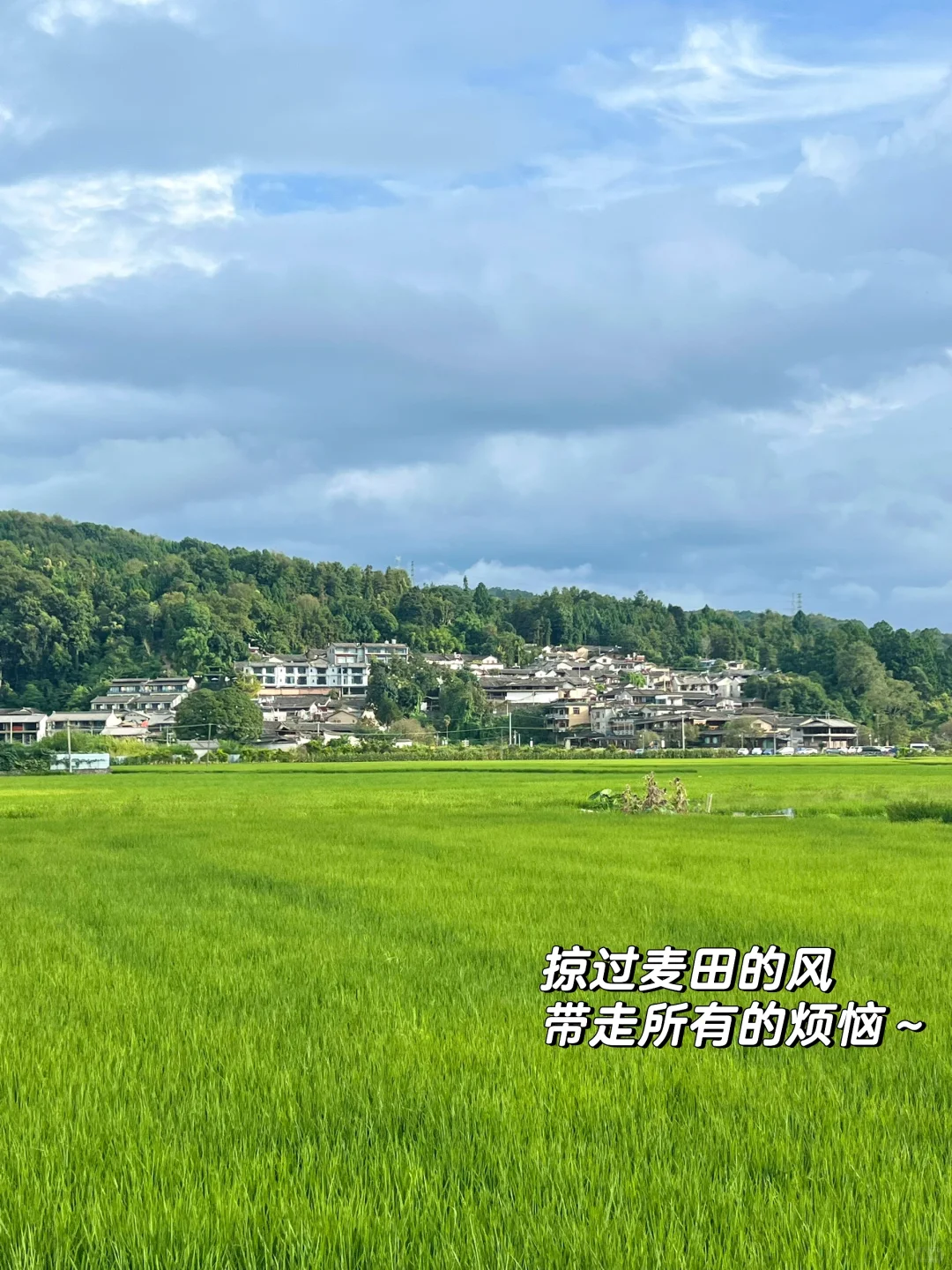 腾冲｜心灵和身体双重治愈的躺玩小城（附地图