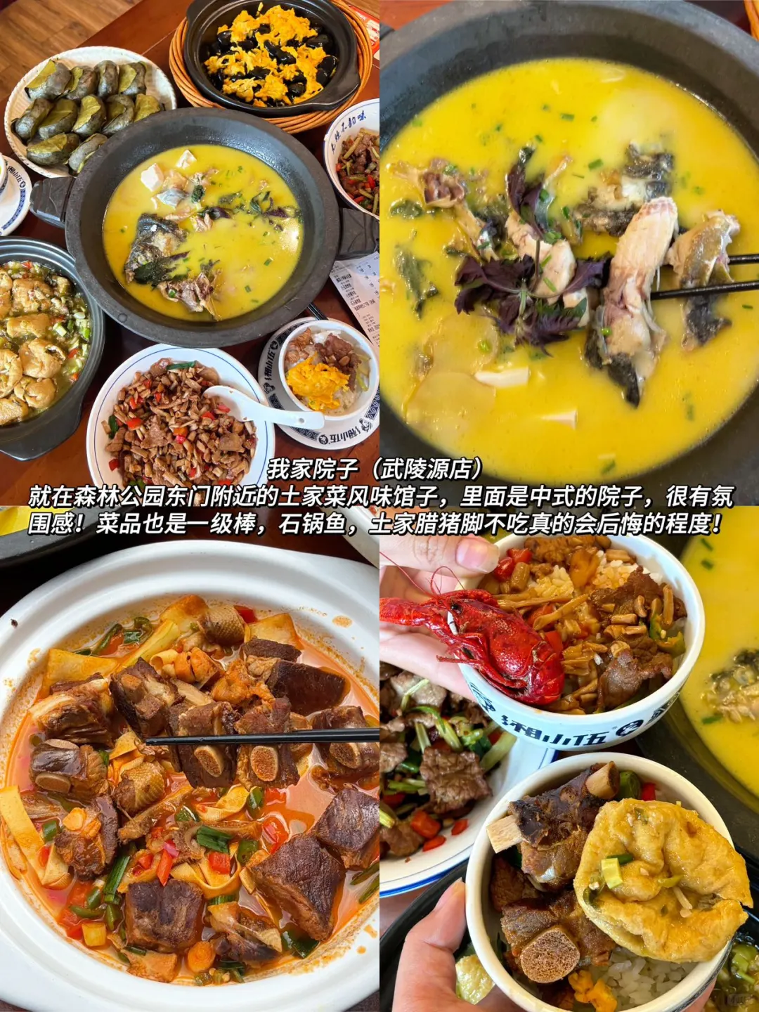 刚从张家界旅游回来！😭😭我的建议是………