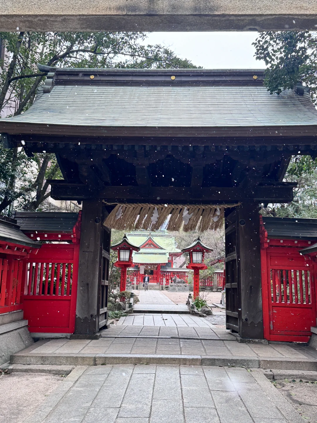 春节爱达魔都号邮轮旅行Plog✈️