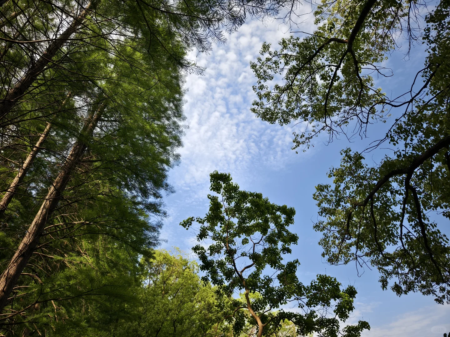 风景很美