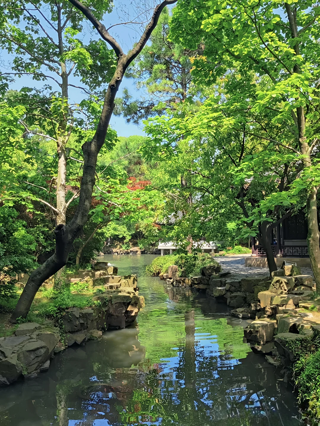 避开人流，苏州本地博主私藏玩法