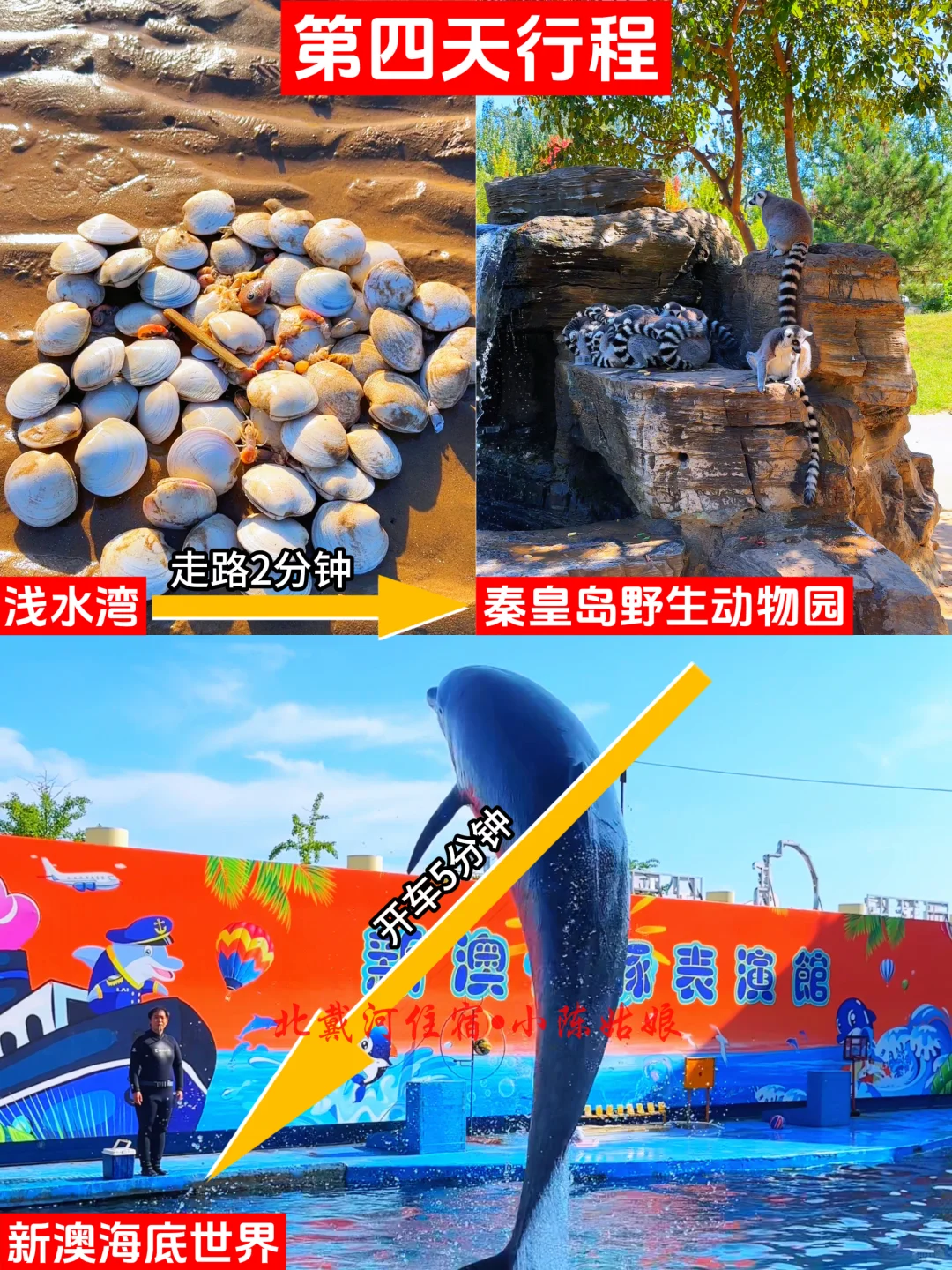北戴河已回，我的建议是……