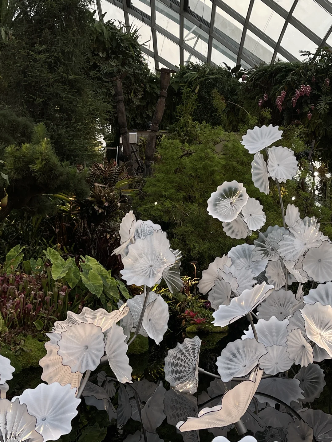🇸🇬新加坡4天3夜旅行｜J人保姆级攻略（上）