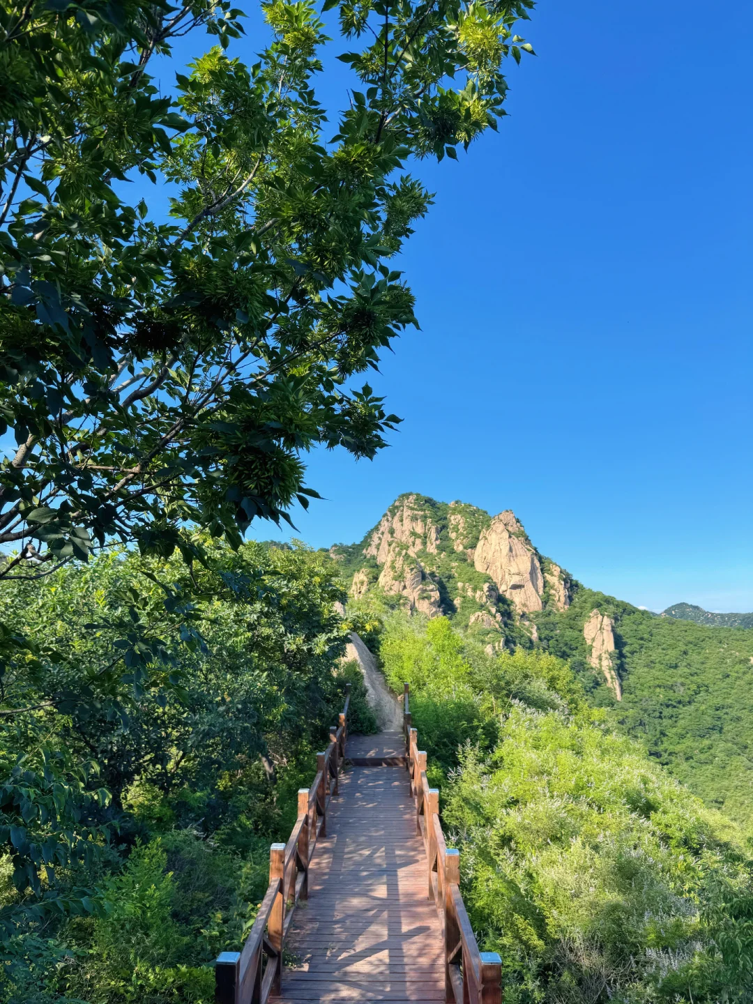 太出片了❗️隐藏在京郊山谷的