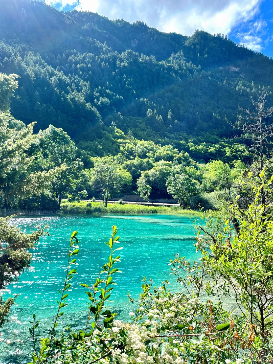 九寨沟唯一的真神🌼🦆🍃