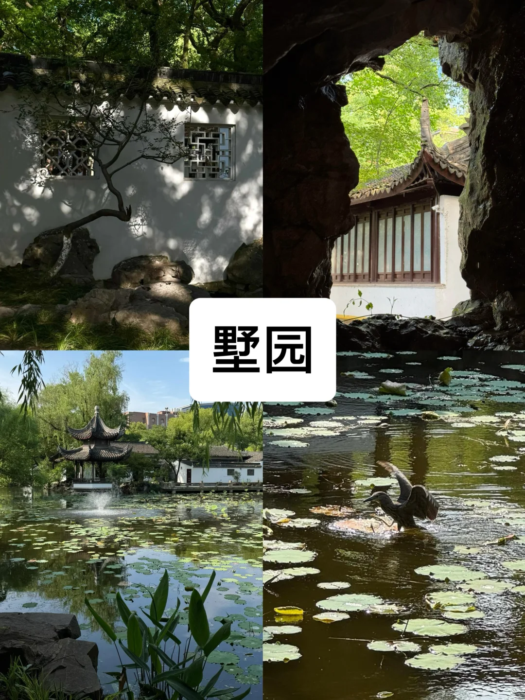 来杭州度夏必去的8️⃣大景点（不踩雷小众版）！