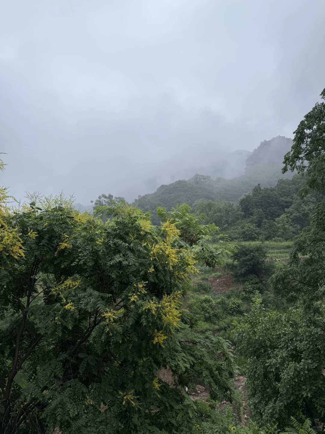 这么近那么美 周末到河北（性价比超高农家乐
