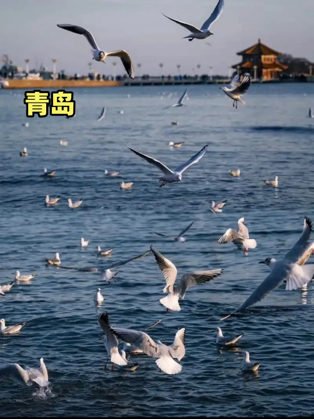 🌿6-8月国内避暑TOP9！25°C神仙地➕必玩攻略