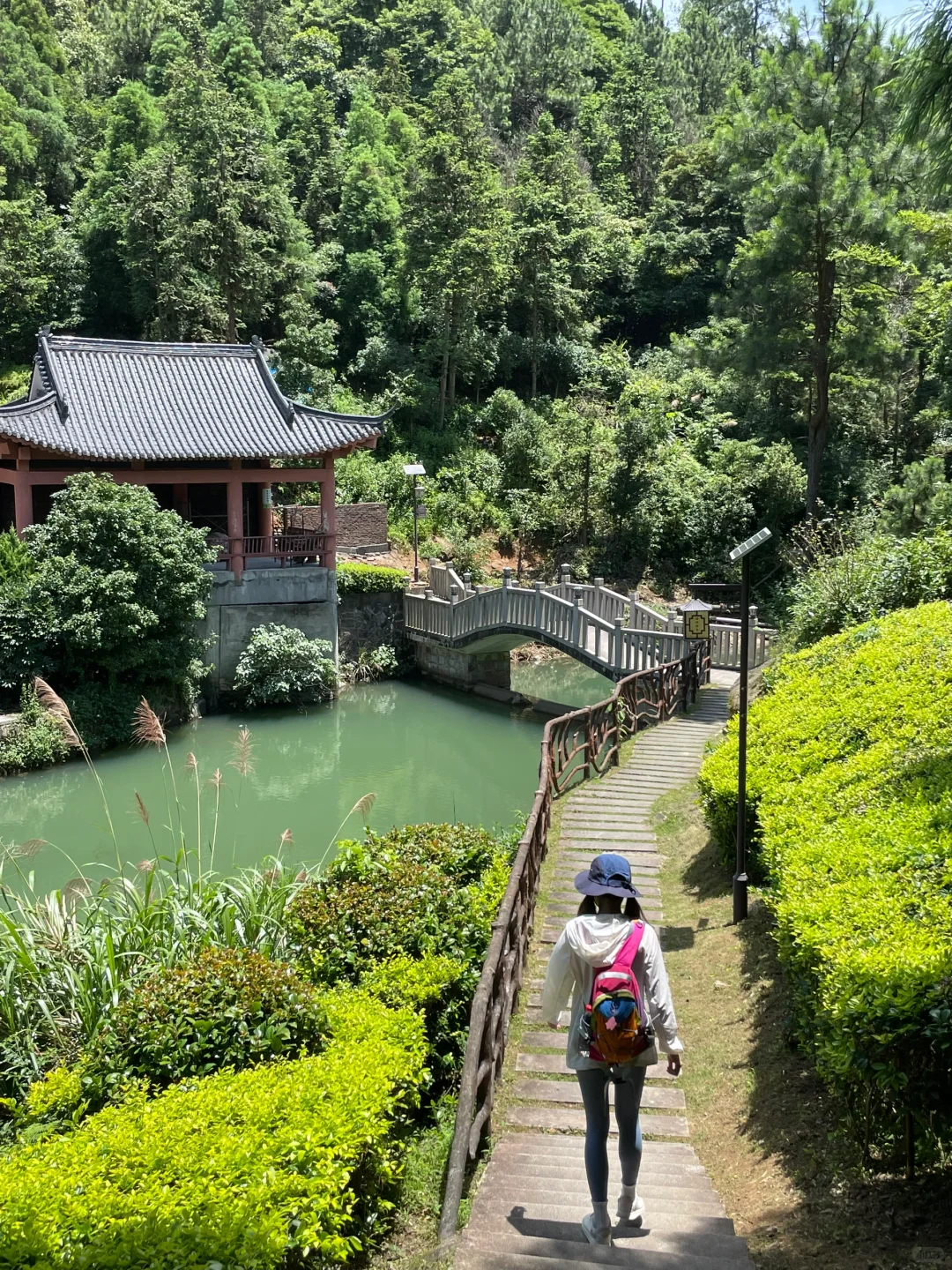 这山又免费了！！不爬对不起自己！