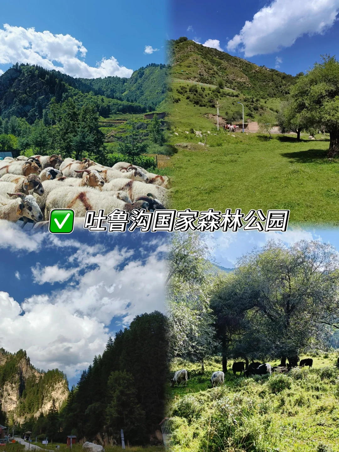 35°C⬇️18°C！兰州四大空调山：1h森林 20min夜