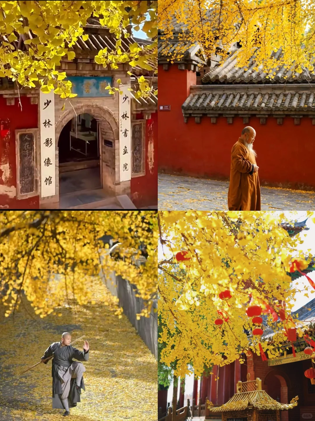 作为土著，良心推荐郑州旅游必玩出片景点🌟