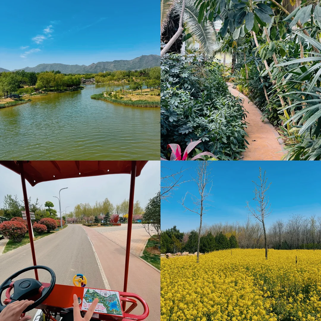 🌷周末到河北，石家庄龙泉湖湿地美爆了！