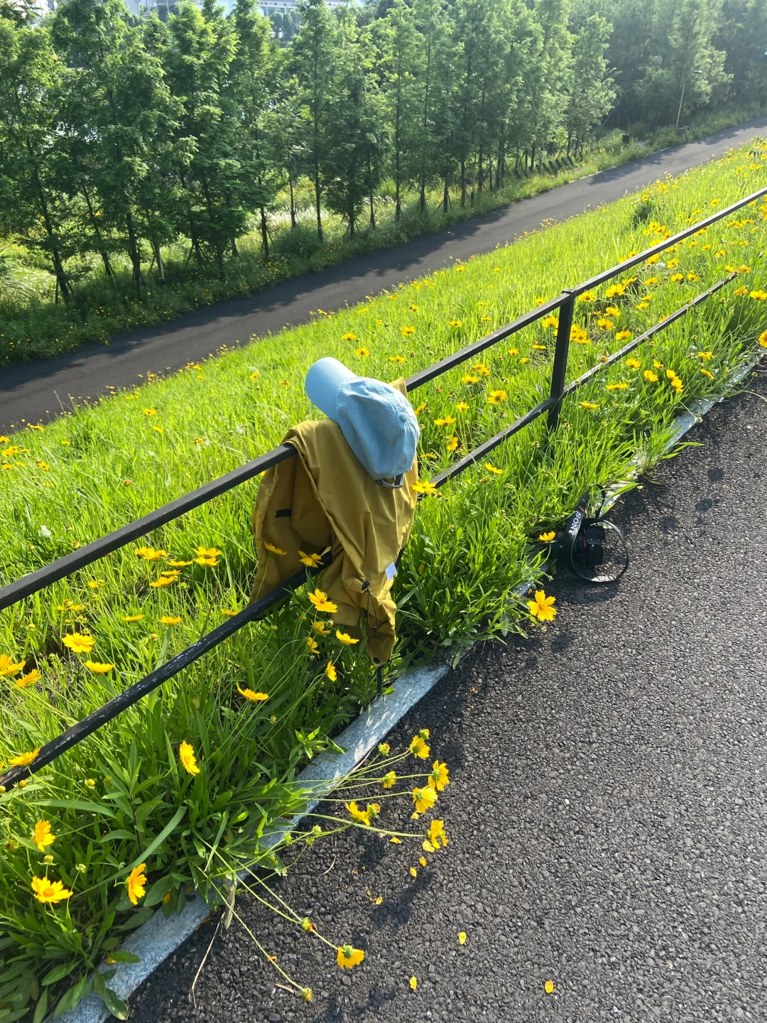 绍兴这里好美