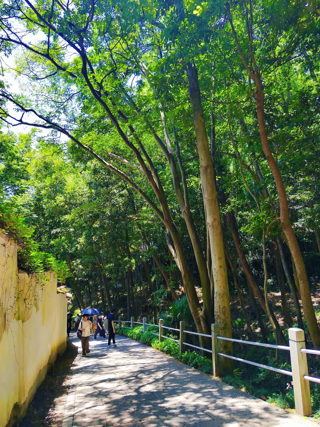 杭州灵隐寺｜禅意千年，心归处