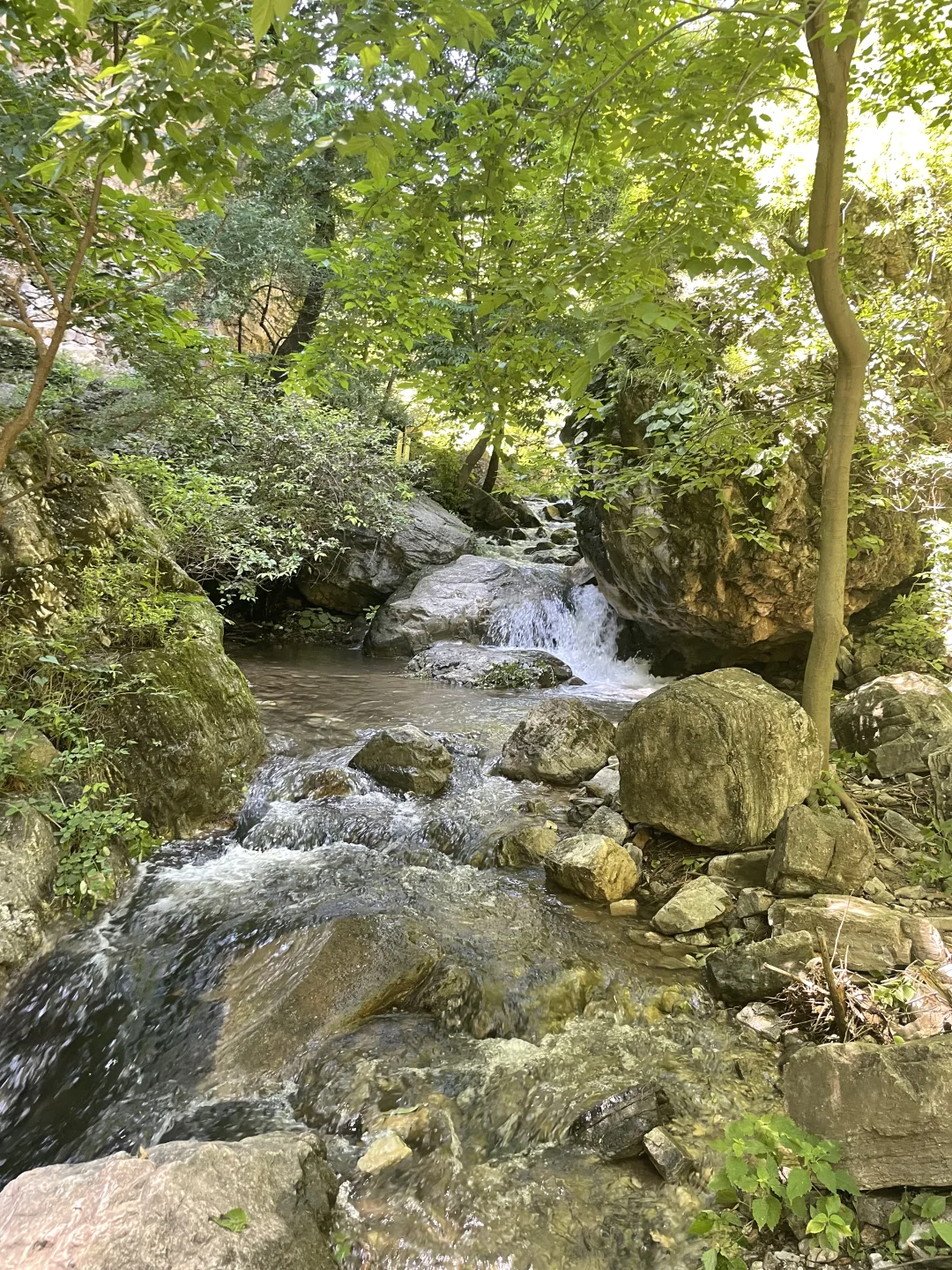 夏日避暑宝藏地|赶快躲进这天然氧吧🍃