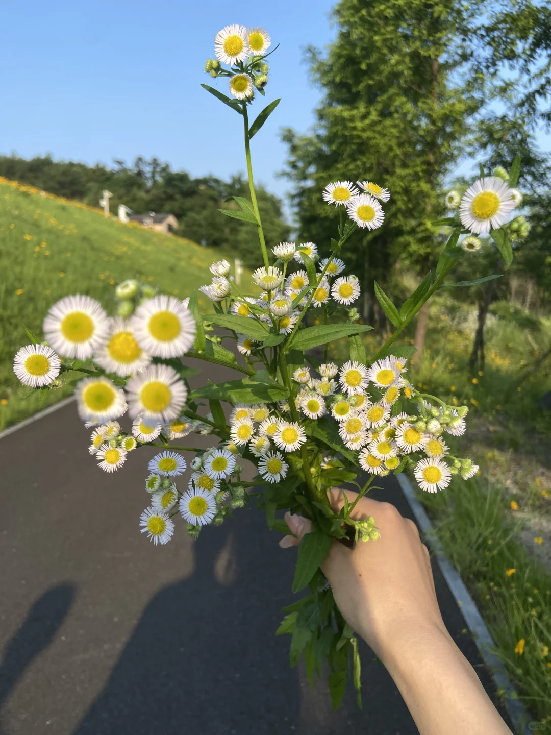 绍兴这里好美