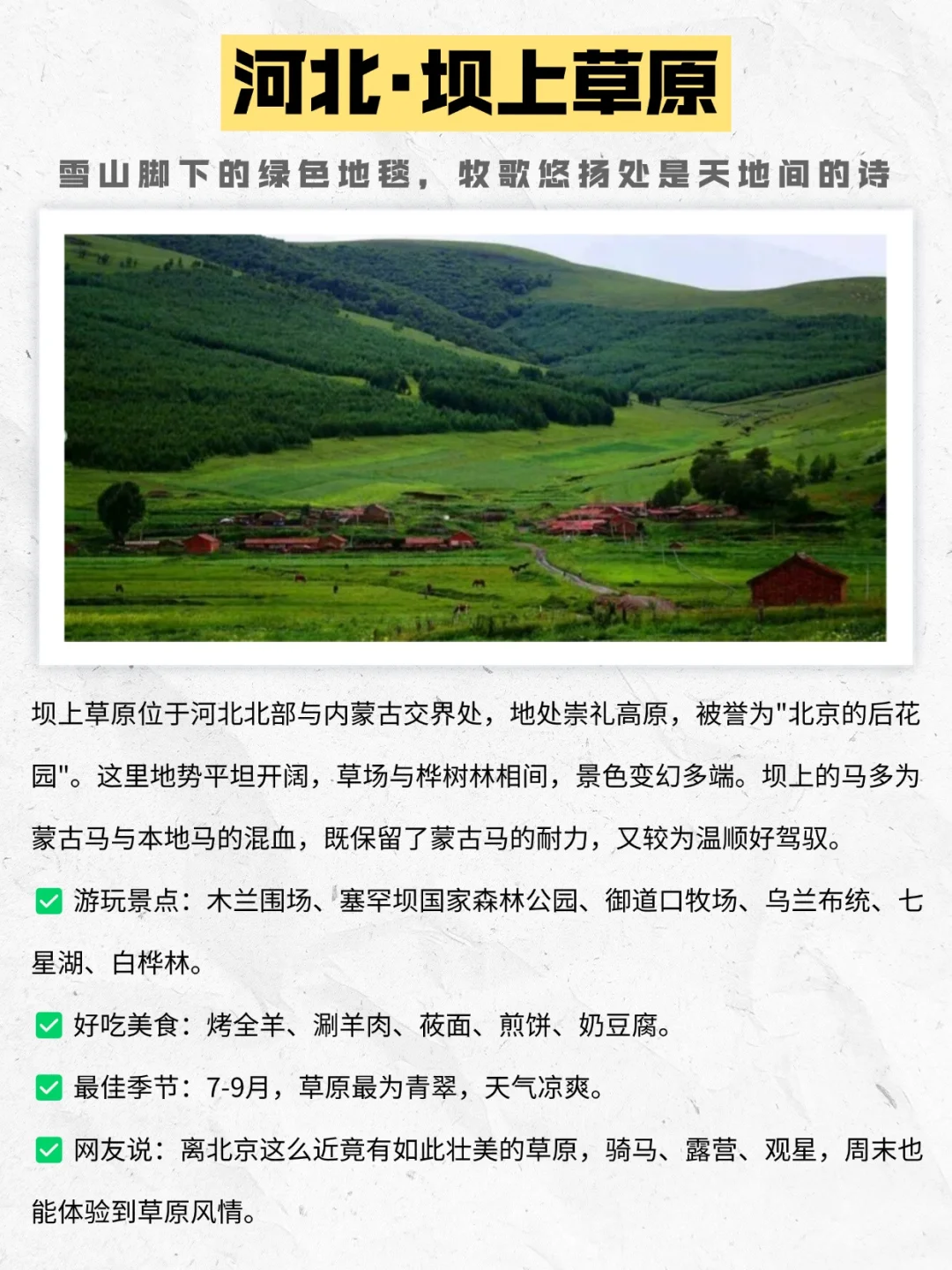 6个夏季骑马胜地