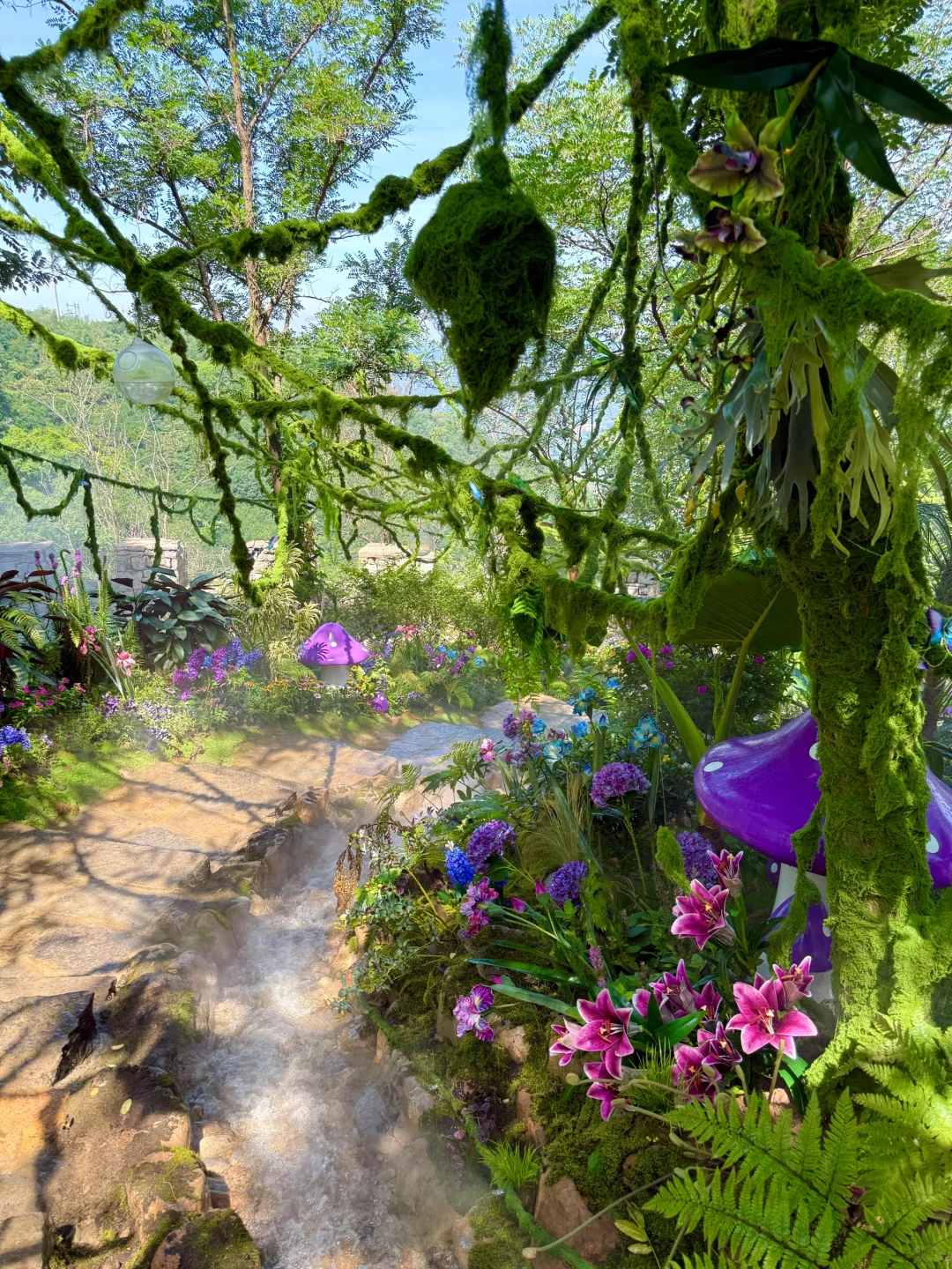泰安开车2小时！发现绝美森林秘境🌳🦋