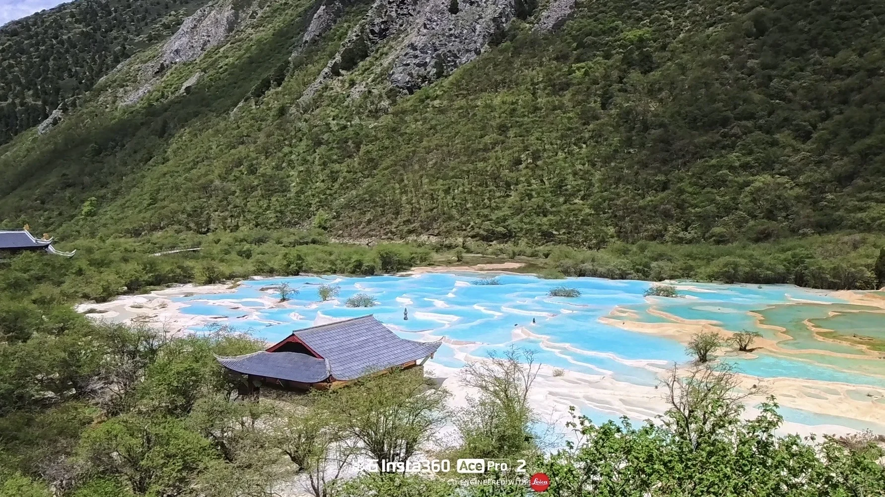 6月黄龙近况！